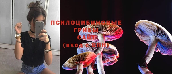 спайс Алзамай