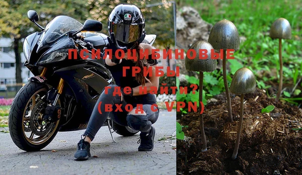 спайс Алзамай