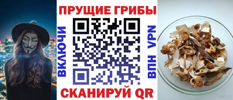 Галлюциногенные грибы Psilocybine cubensis  где найти наркотики  Уссурийск 